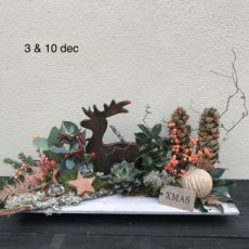 Rendier in Kerstbos DIY DIY-pakket